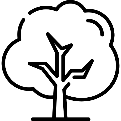 arbre.webp arbre.webp