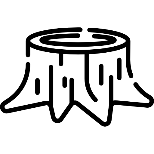 tronc.webp
